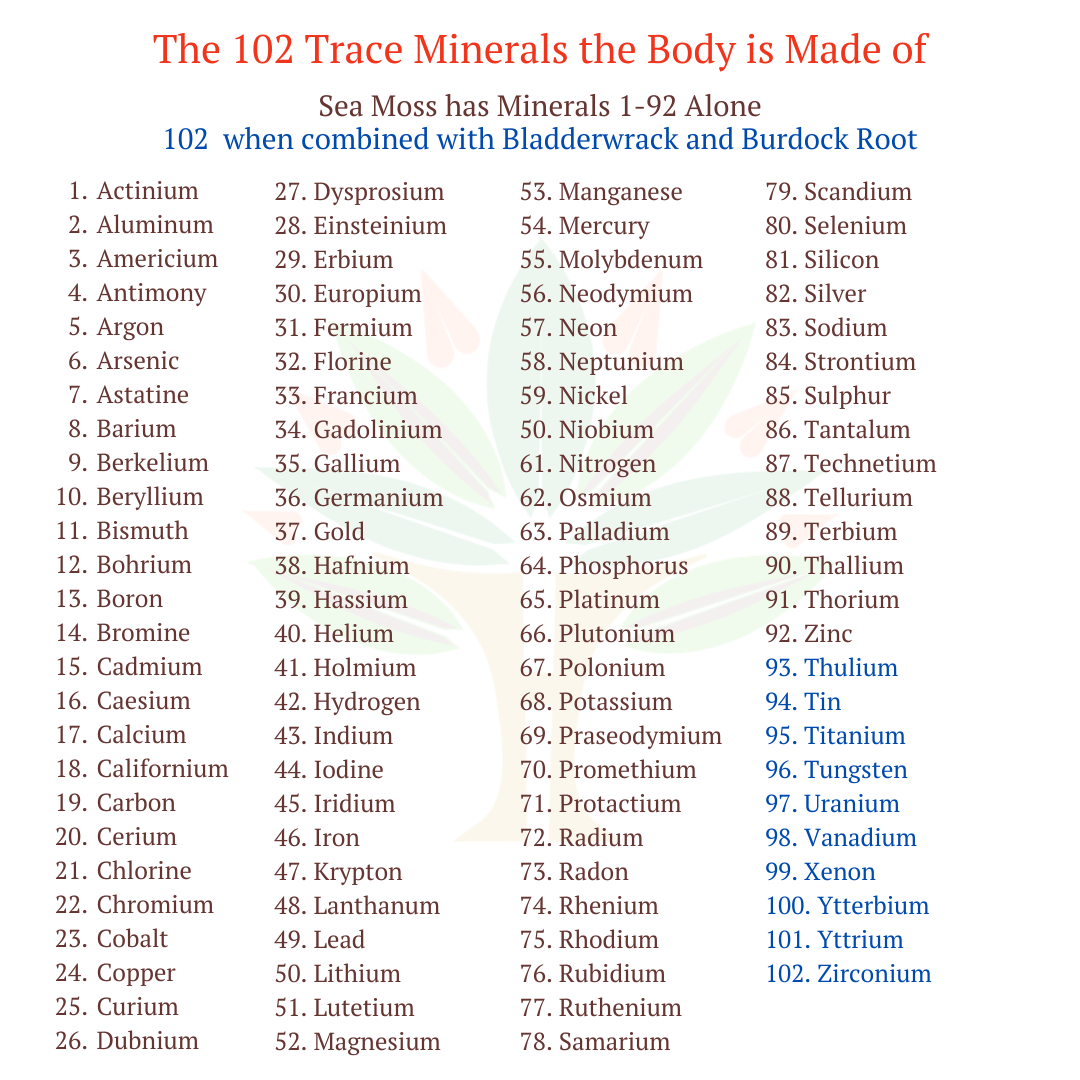 Sea Moss, Bladderwrack, & Burdock Root Gel (102 Minerals)